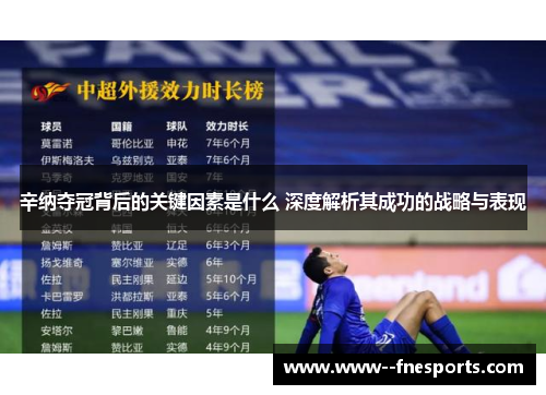 辛纳夺冠背后的关键因素是什么 深度解析其成功的战略与表现