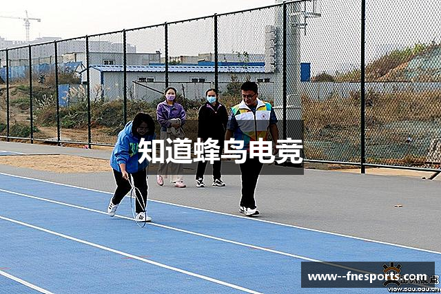 知道蜂鸟电竞